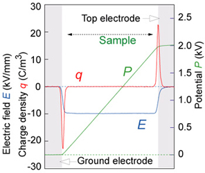 PEA Space Charge Measurement System